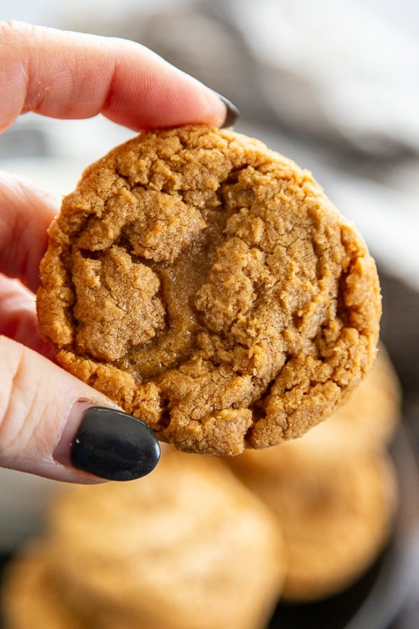 hand holding a single peanut butter cookie